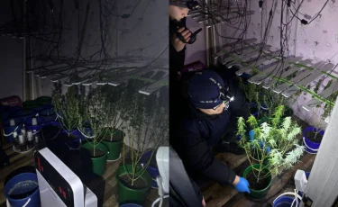 Конопля на светодиодах: житель Уральска оборудовал квартиру под нарколабораторию