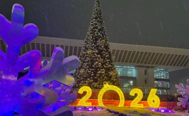 Жаңа жылда қазақстандықтар неге дайын болу керек