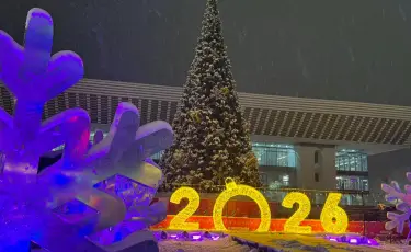 Жаңа жылда қазақстандықтар неге дайын болу керек