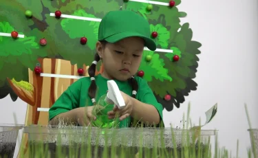 Қала келбеті: Алматыдағы балабақшада бүлдіршіндер бидай өсіреді