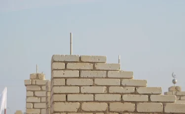 Моланың күміс айшықтарын жұлып тастаған: Атырауда қылмыстық іс қозғалды