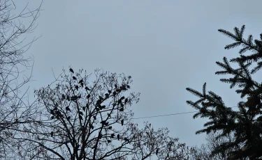 Аяз, көктайғақ, жел: сенбі күнгі ауа райы болжамы