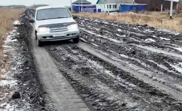 В ловушке бездорожья: в СКО сельчане буквально утопают в грязи