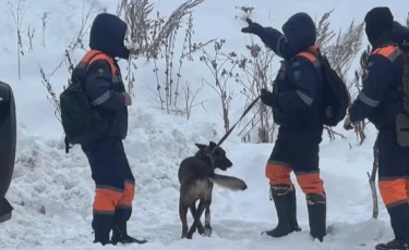 Алматы тауларында жоғалып кеткен бойжеткеннің денесі табылды