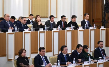 Құрылтай депутаттарына талаптар қандай: Қарин негізгі жаңашылдықтар туралы айтты