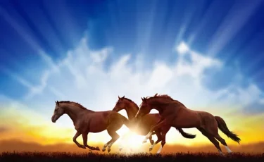 Жаңа мүмкіндіктер мен сәтті күндер: қаңтарға арналған жұлдызнама