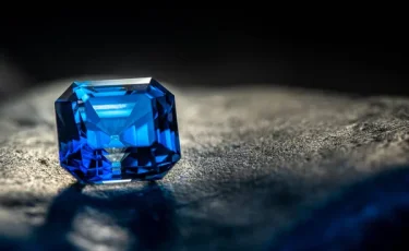 Крупнейший в мире сапфир представили в Шри-Ланке