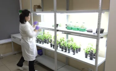 Қазақстанның әр өңірінде көгалдандыру ісі ғылыми тәсілмен жүргізіледі