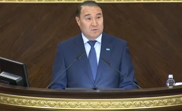 Совместная защита от катастроф: Казахстан вступил в механизм ОТГ по ЧС