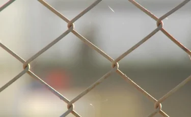 Қарағандыда халықаралық есірткі айналымын ұйымдастырған студент сотталды