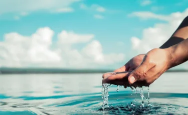 Пресной воды в мире всё меньше: ООН бьет тревогу