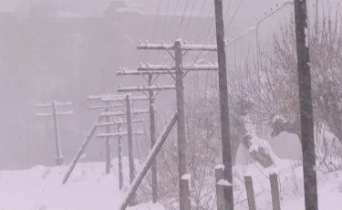 Оптоволокно упирается в изношенные сети: в Восточном Казахстане люди живут без интернета