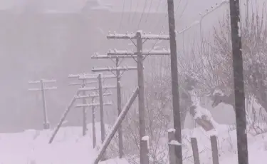 Оптоволокно упирается в изношенные сети: в Восточном Казахстане люди живут без интернета