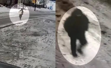 Золотой сейф и крупный ущерб: как полиция поймала «гастролера» в Караганде (видео)