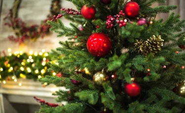 Не всем по душе праздник: житель Темиртау поджег новогоднюю ёлку