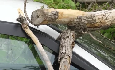 Два миллиона за повреждённое авто: в Костанае завершилось громкое судебное дело