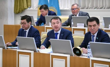 Максим Рожин: Халық кеңесі — жалпыұлттық диалогтің жаңа форматы