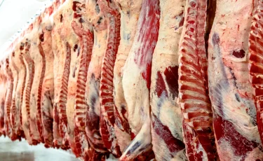 В Казахстане введены ограничения на вывоз мяса