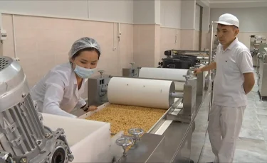 Алматының Индустриялық аймағында құрылыс материалдарын шығаратын жаңа өндіріс іске қосылады