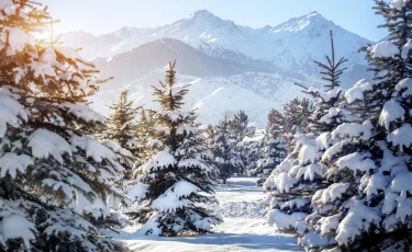 Қазақстанда қатты аяздар –38 °C дейін күтілуде