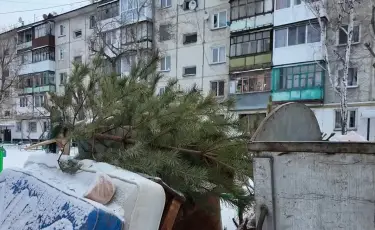 Как коммунальщики помогают диким животным в СКО