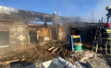Пожар в Павлодарской области: в частном доме в огне погибли дети
