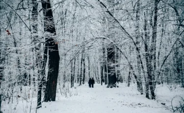 Ученые назвали способ за пять минут в день продлить жизнь