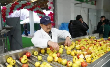 От урожая до лавок: в Туркестанской области заработал завод по переработке фруктов