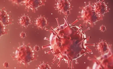 Без вакцины и лечения: в Индии зафиксирована вспышка неизлечимого вируса