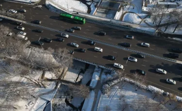 Алматыда Есентай өзеніндегі велосипедшілер мен жүргіншілерге арналған көпірдің құрылысы кезінде 80 ірі көлемді ағаш егіледі