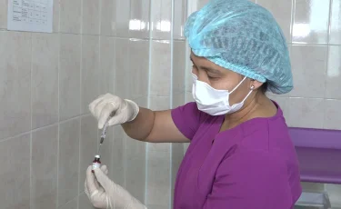 Алматыда қызылша дерті дендеді