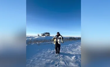 Не успели улететь: в Павлодарской области люди спасают лебедей