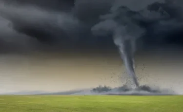 Францию накрыл мощный ураган: 92 тысячи домов остались без электричества