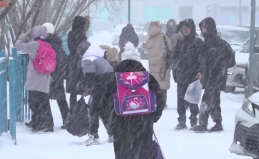 Қолайсыз ауа райы: Астанада екінші ауысымдағы оқушылар қашықтан оқуға көшірілді