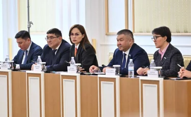 Қазақстан Конституцияны өзгерту арқылы өркениеттік таңдау жасайды – Исидор Борчашвили