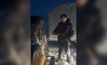 Нарушил природный баланс: в области Абай мужчина охотился на волка