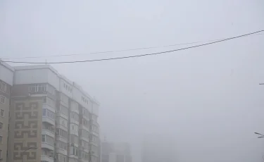 Тұманды пайдаланып, біреулер ауаға зиянды заттарды жіберіп жатыр - шымкенттік экобелсенділер дабыл қақты