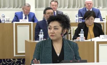 Жаңа Конституция сөз бостандығымен қатар шығармашылық еркіндікті де қорғайды – Қарлығаш Жаманқұлова