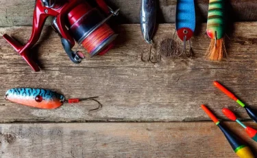 Кого ловить нельзя: сколько придется заплатить за редких рыб и животных