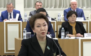 Дания Еспаева: бізге жекелеген түзетулер емес, жаңа Конституция қажет