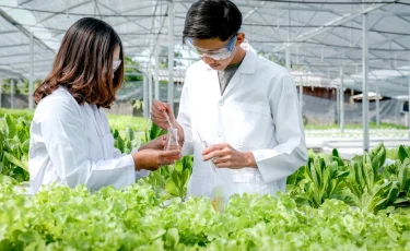 Сенсация: ученые обнаружили скрытую «зимнюю память» внутри растений