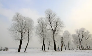 Сильные морозы в Казахстане: спасатели дали рекомендации по безопасности