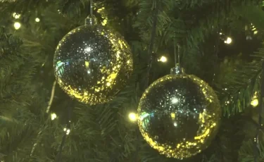 Теміртауда жаңажылдық шыршаны өртеген тұрғын 10 тәулікке қамауға алынды