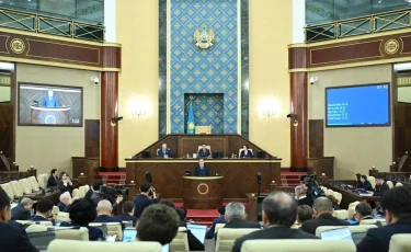 Мәжіліс қазақ-қырғыз шекарасындағы өткізу пункттері туралы келісімге өзгеріс енгізді