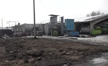 Қолқаны қапқан өткір иіc: Талғар ауданының тұрғындары май өндіру зауытының жабылғанын талап етуде