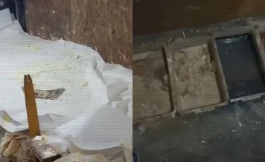 Қарағанды облысында синтетикалық есірткі өндірісі тоқтатылды: 4 тонна прекурсор тәркіленді