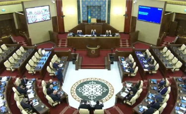 Мәжіліс ЕЭАО-да экспорттық тауарлардың шығарылуына бақылауды күшейтеді