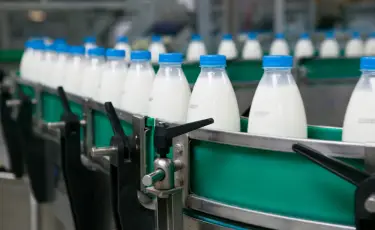 Поддержка казахстанских производителей молока: вице-министр обсудил ключевые меры