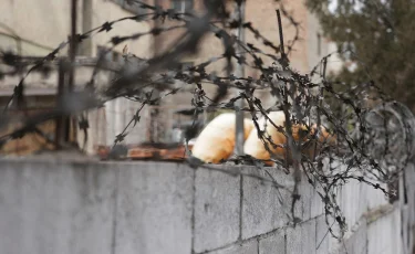 Избил до смерти: суд вынес приговор по делу об убийстве Айзат Джумановой