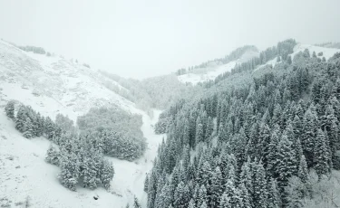Штормовое предупреждение: туман и сильный ветер накроют Казахстан